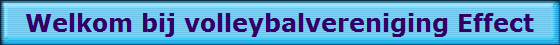 Welkom bij volleybalvereniging Effect